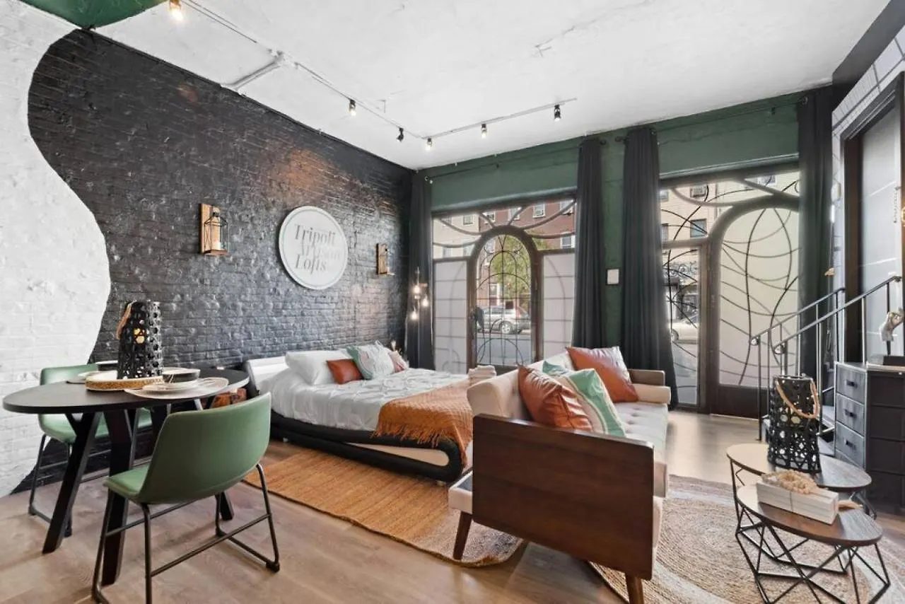 Tripoli Artisan Lofts - Designer Bushwick Lofts With Rooftop Terrace contacts